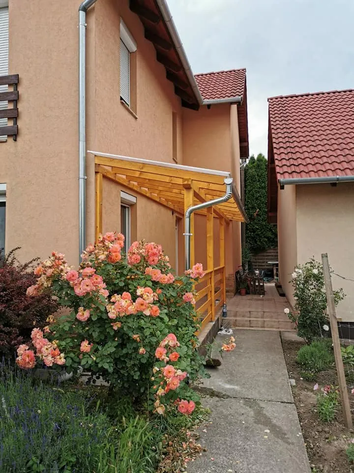 Fa előtető a ház oldalán, szemből, előtte virágzó rózsa